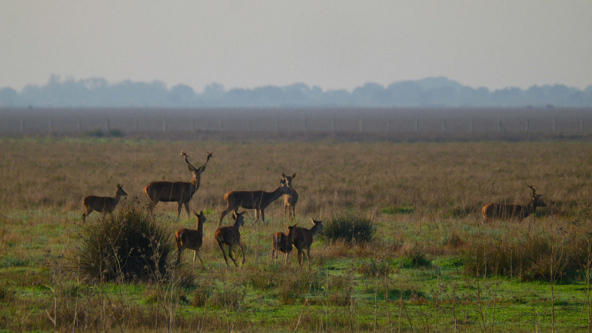 Spanien - Andalusien / Spain - Andalusia
